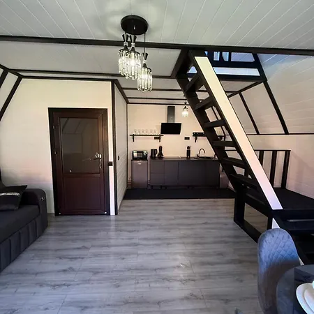 Rusnak Family A-frame * Synevyrsʼka Polyana