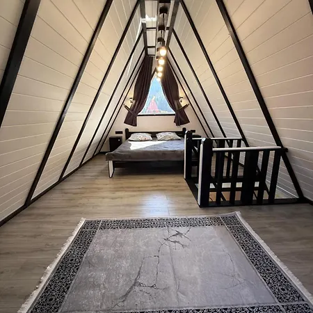 Apartment Rusnak Family A-frame Synevyrsʼka Polyana